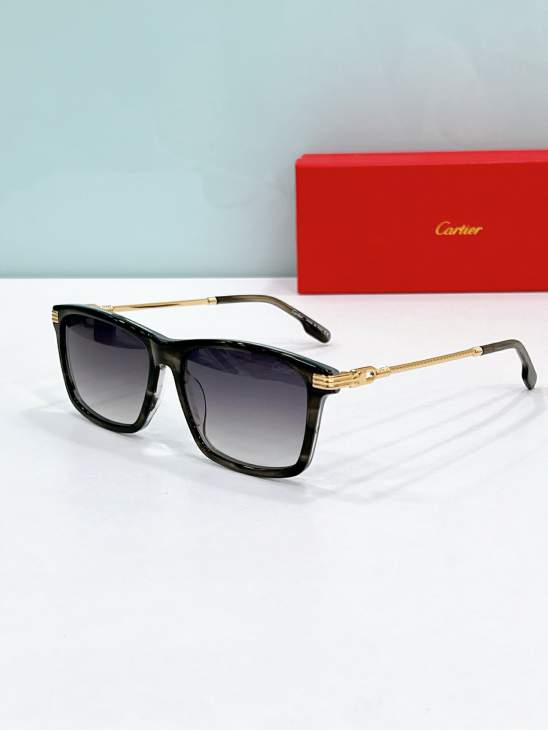 Picture of Cartier Sunglasses _SKUfw80535890fw